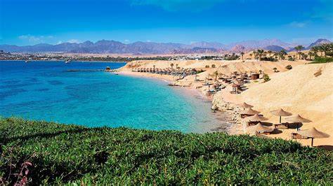 Sharm PenalbaWeb.com