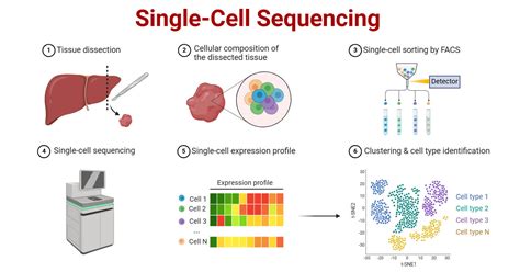 Single cell PenalbaWeb.com