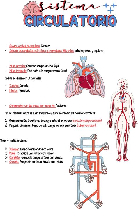 Sistema completo PenalbaWeb.com