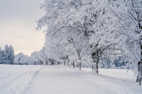 Snow nieve PenalbaWeb.com