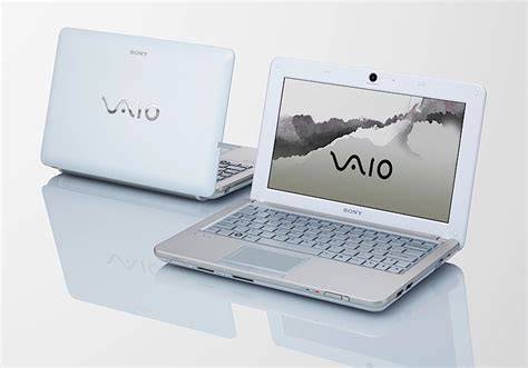 Sony vaio 10 PenalbaWeb.com