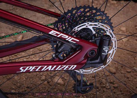 Specialized brain PenalbaWeb.com