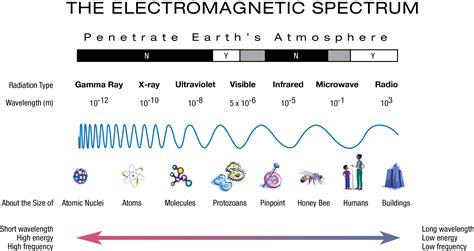 Spectrum PenalbaWeb.com