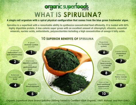 Spirulina PenalbaWeb.com