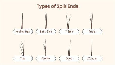 Split end PenalbaWeb.com