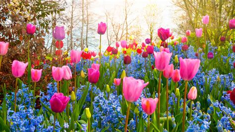 Spring par PenalbaWeb.com