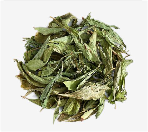 Stevia en hojas PenalbaWeb.com