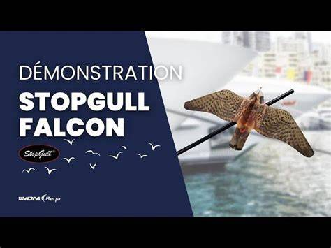 Stopgull PenalbaWeb.com