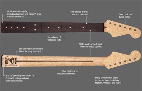 Strat neck PenalbaWeb.com