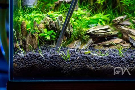 Sustrato acuario PenalbaWeb.com