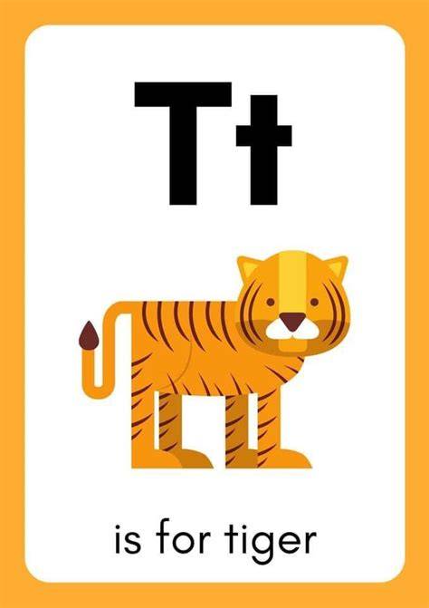 T flash card PenalbaWeb.com
