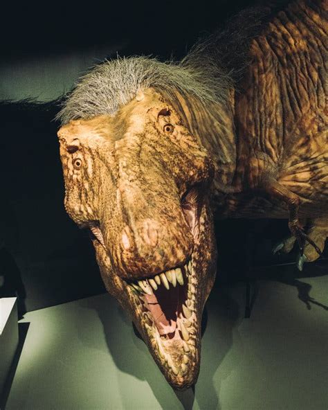 T rex PenalbaWeb.com