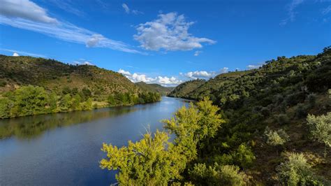 Tagus PenalbaWeb.com