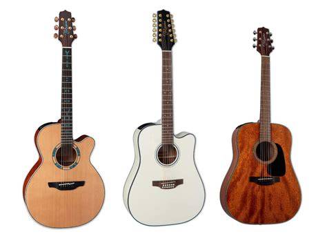 Takamine PenalbaWeb.com