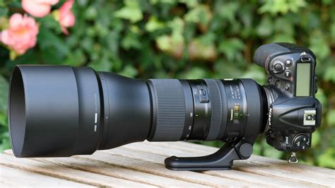 Tamron 150 600 PenalbaWeb.com