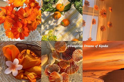Tangerine dreams PenalbaWeb.com