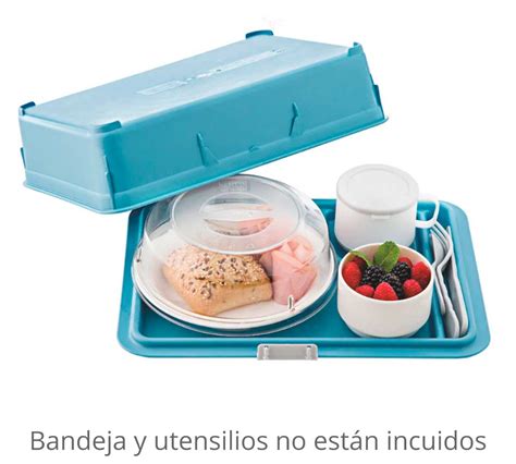 Tapa bandeja PenalbaWeb.com