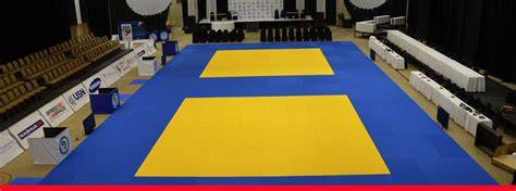 Tatami judo PenalbaWeb.com