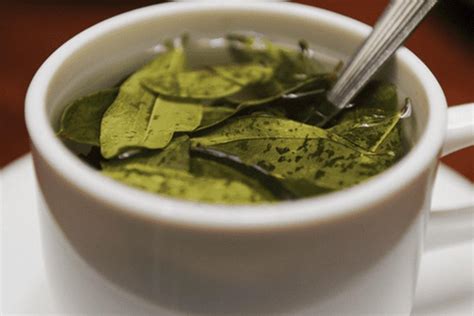 Te de coca PenalbaWeb.com
