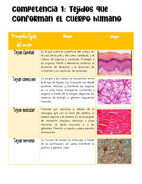 Tejidos PenalbaWeb.com