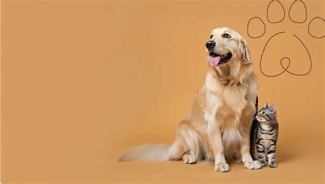 Territorio mascotas PenalbaWeb.com