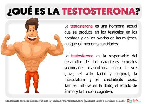 Testosterona PenalbaWeb.com