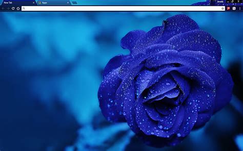 Theme PenalbaWeb.com