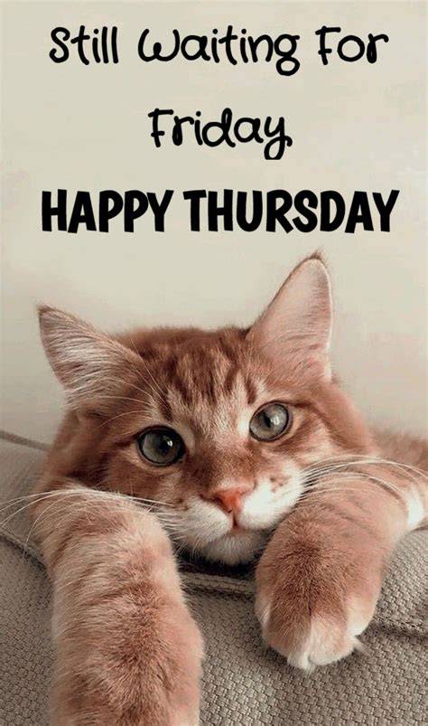 Thursday PenalbaWeb.com