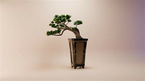 Tiesto bonsai PenalbaWeb.com