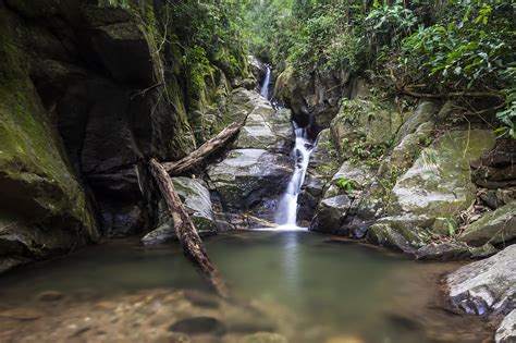Tijuca PenalbaWeb.com