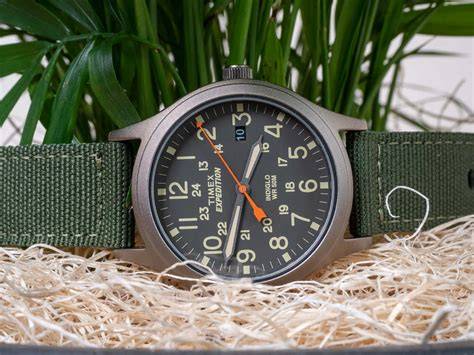Timex expedition PenalbaWeb.com