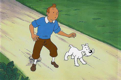 Tintin PenalbaWeb.com
