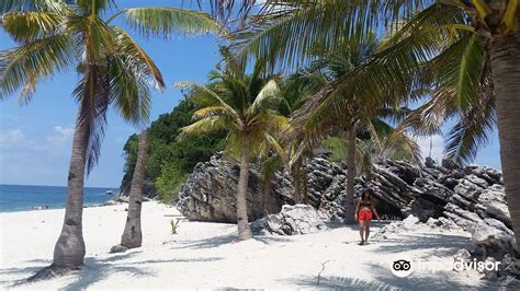 Tobog PenalbaWeb.com