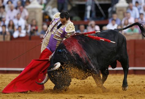 Torero PenalbaWeb.com