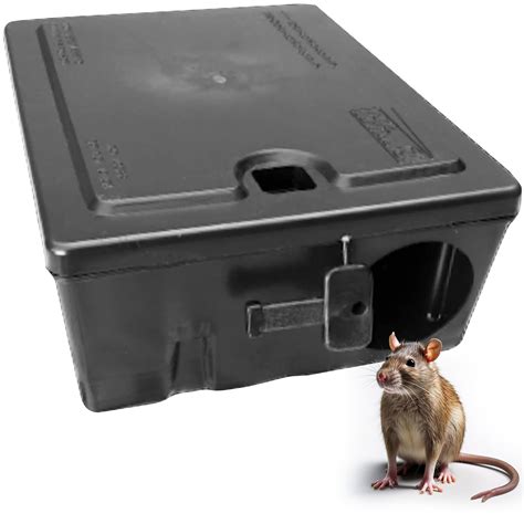 Trampa ratas PenalbaWeb.com
