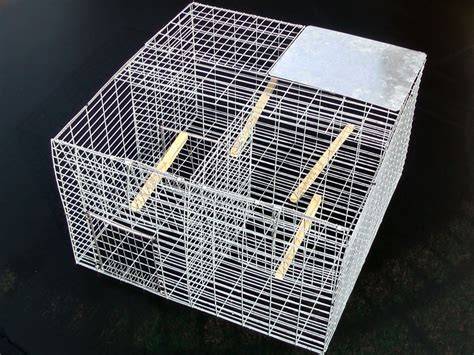 Trampas para aves PenalbaWeb.com