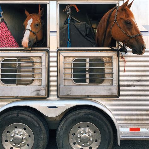 Transporte caballos PenalbaWeb.com
