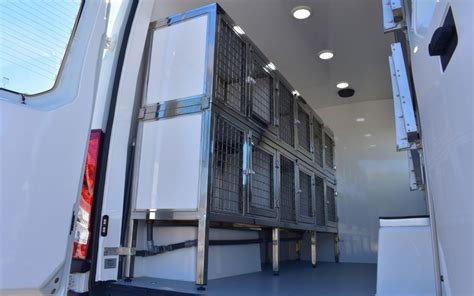 Transporte perros PenalbaWeb.com