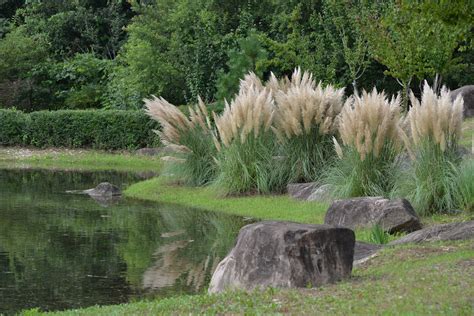 Trava PenalbaWeb.com
