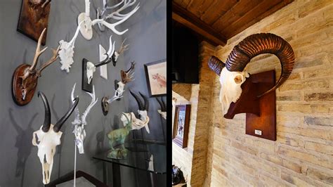 Trofeos caza PenalbaWeb.com