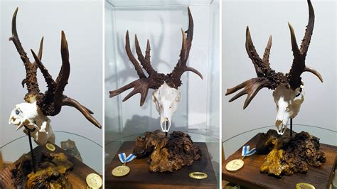 Trofeos corzo PenalbaWeb.com