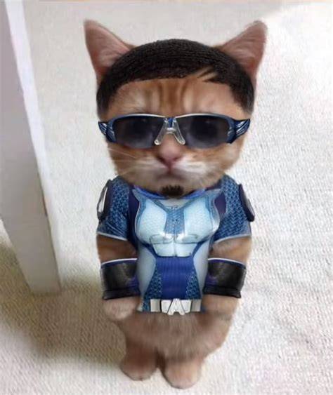 Tt cat PenalbaWeb.com