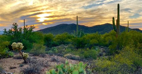 Tucson PenalbaWeb.com