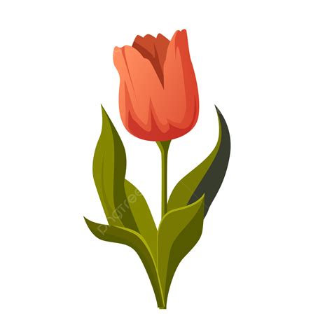 Tulipas flor PenalbaWeb.com