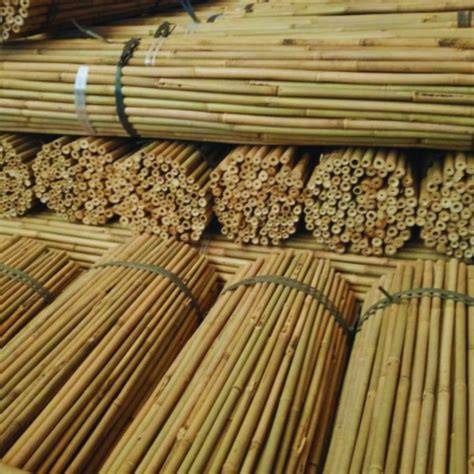 Tutores de bambu PenalbaWeb.com