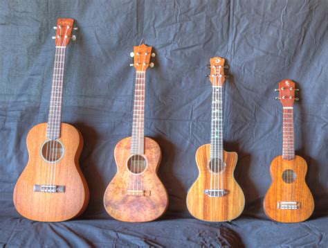 Ukelele PenalbaWeb.com