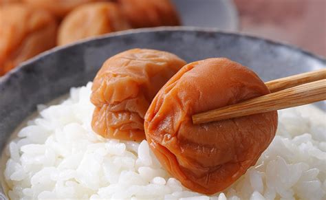 Umeboshi PenalbaWeb.com