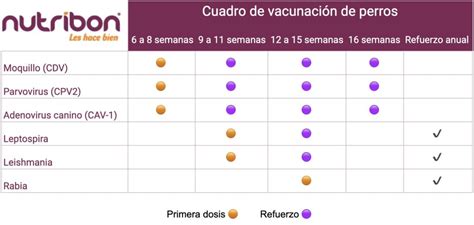 Vacunas cachorros PenalbaWeb.com