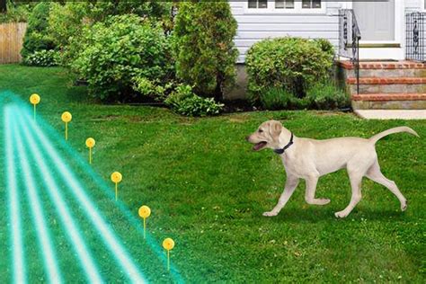 Valla invisible perros PenalbaWeb.com