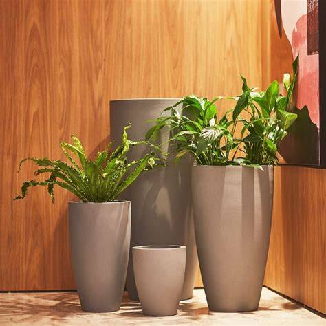 Vaso planta PenalbaWeb.com